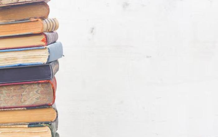Educazione linguistica democratica: grammatica e didattica delle abilità