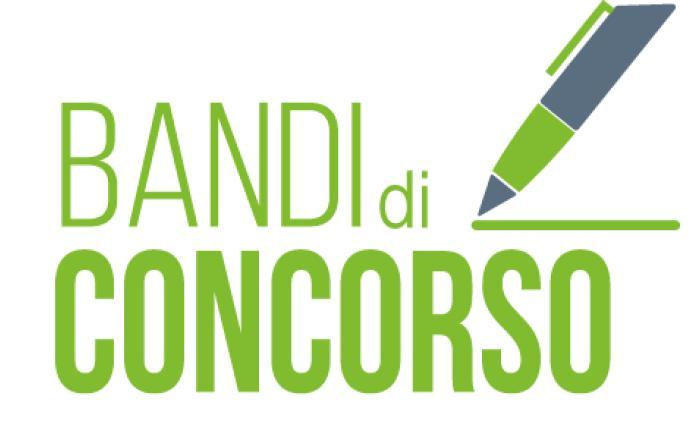 Conferimento n° 4 moduli di insegnamento per i PFI aa 2024/2025 SSD: M-GGR/02, ING-INF/05, SPS/08, IUS/09